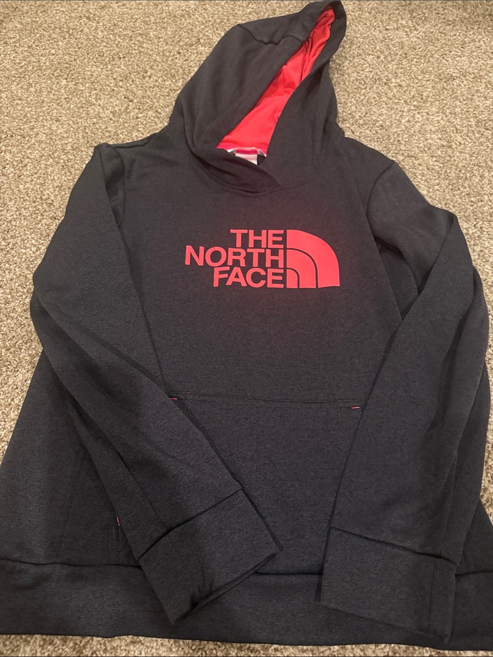 The North Face Black Hoodie with Red Logo and Lined Hood